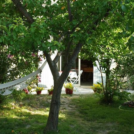 Hôtel Soleil et Ombre à Villedieu  Extérieur photo